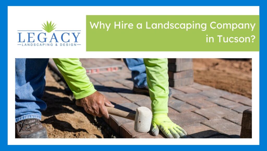 Hiring a Landscaping Company Tucson