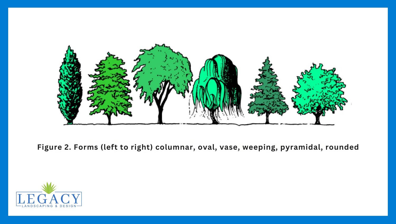 Landscape Design Elements Form