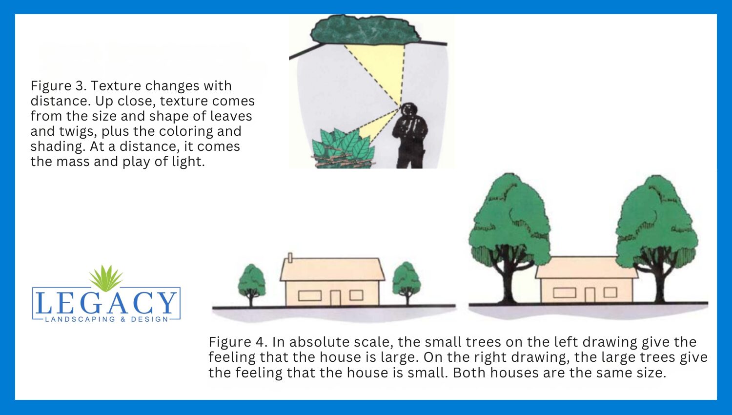 Landscape Design Elements Scale & Texture