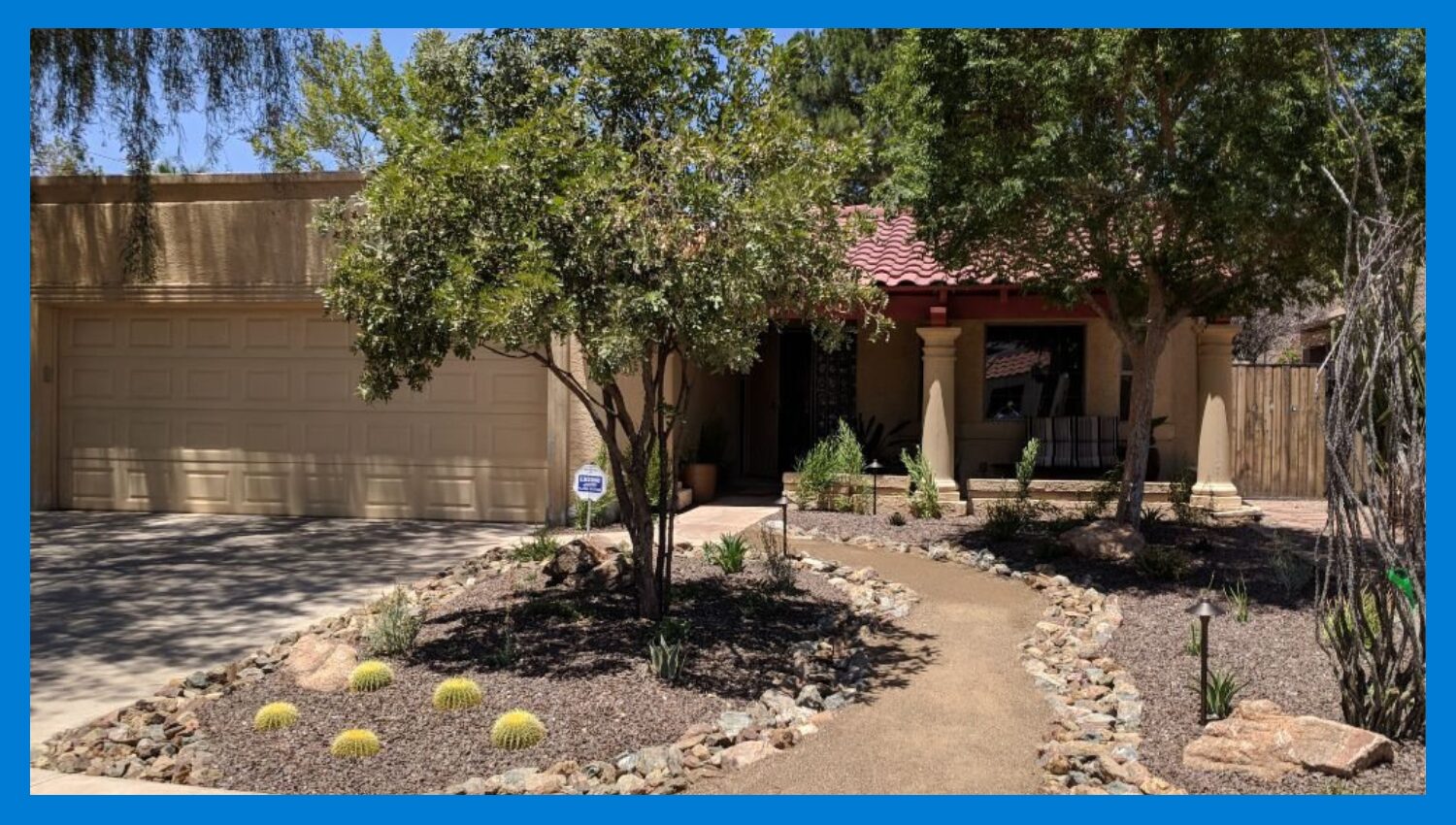 Mesquite tree shade oasis tucson