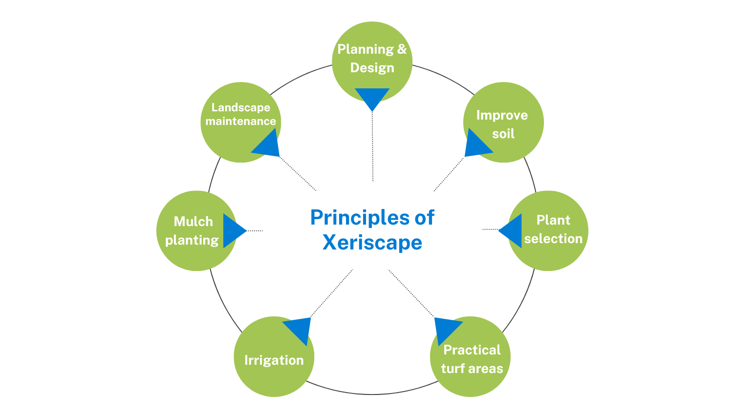 Xeriscaping Principles