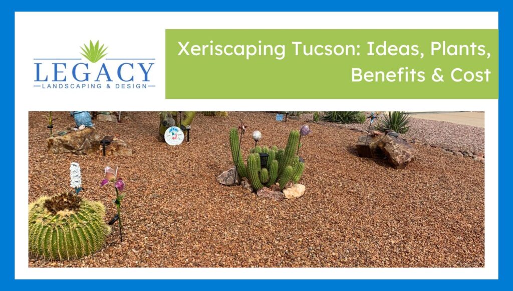 Xeriscaping Tucson