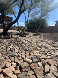 Landscaping design in Tucson