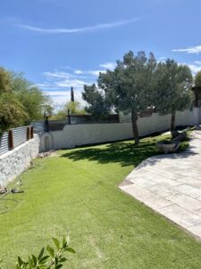 Landscaping design in Tucson