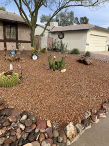 Landscaping design in Tucson