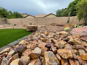 Landscaping design in Tucson