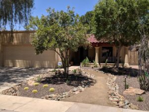 Landscaping design in Tucson