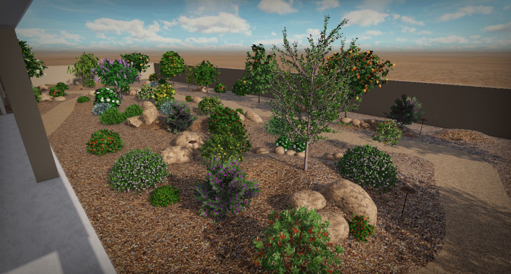 tucson landscape