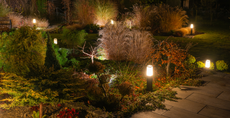 Dark Hour Landscape Accessibility