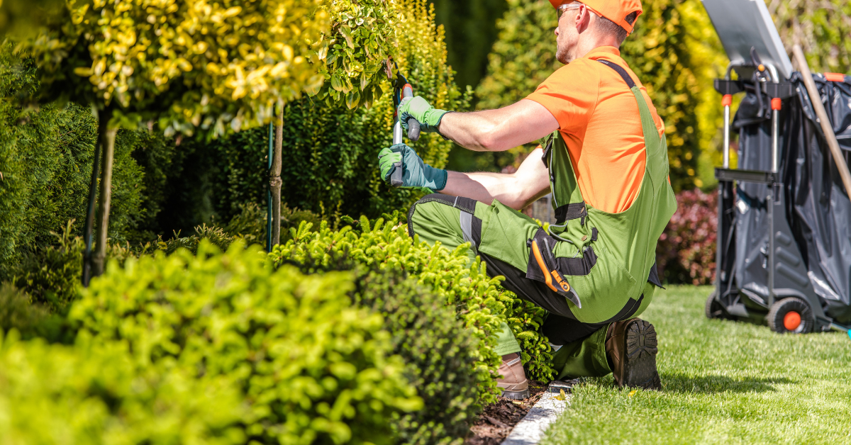 HOA landscape maintenance Tucson