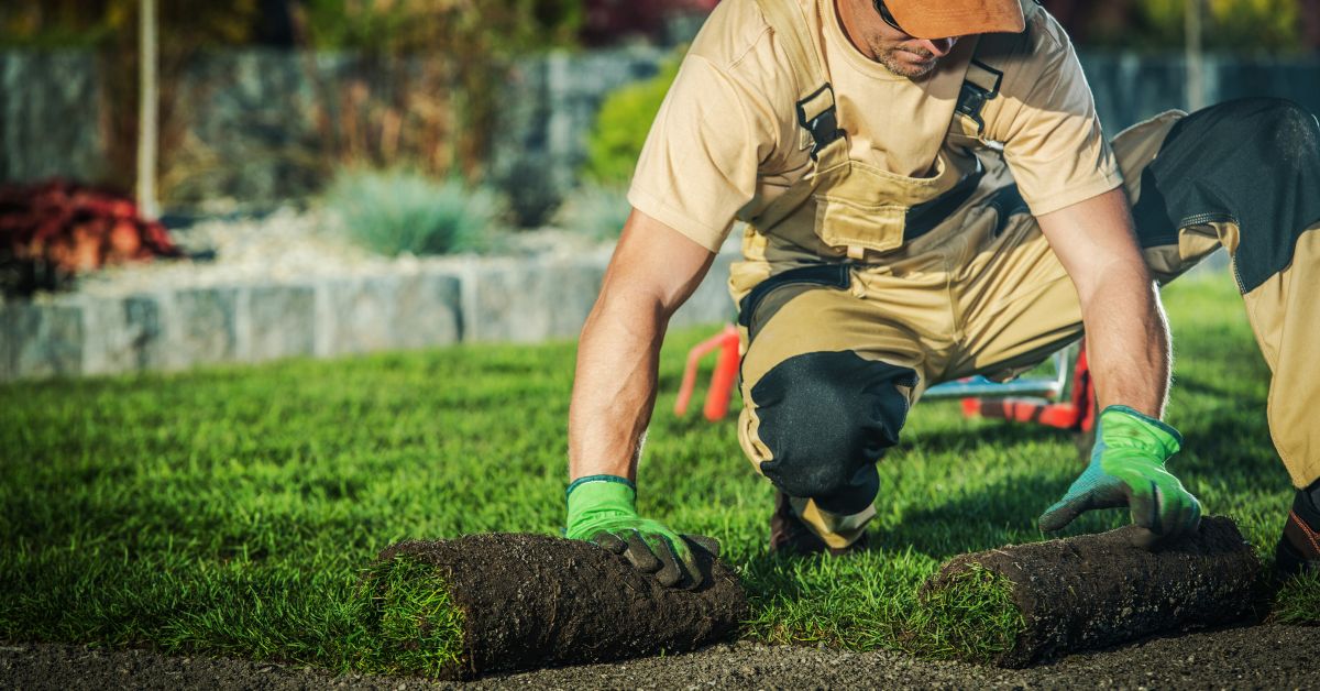 Landscaping for a large garden