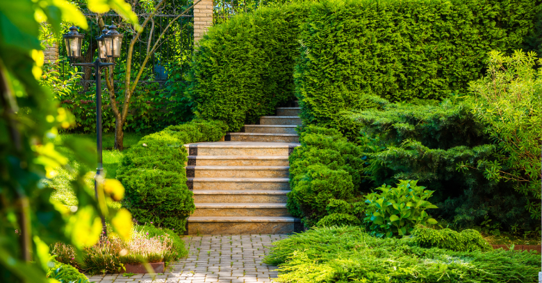 landscape design