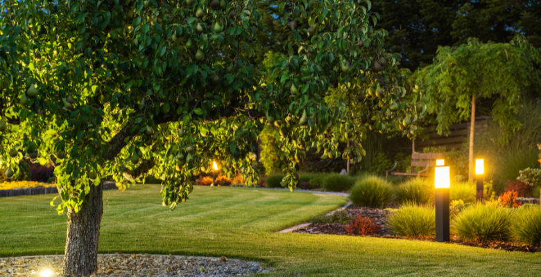 Landscape Lighting, Tucson AZ