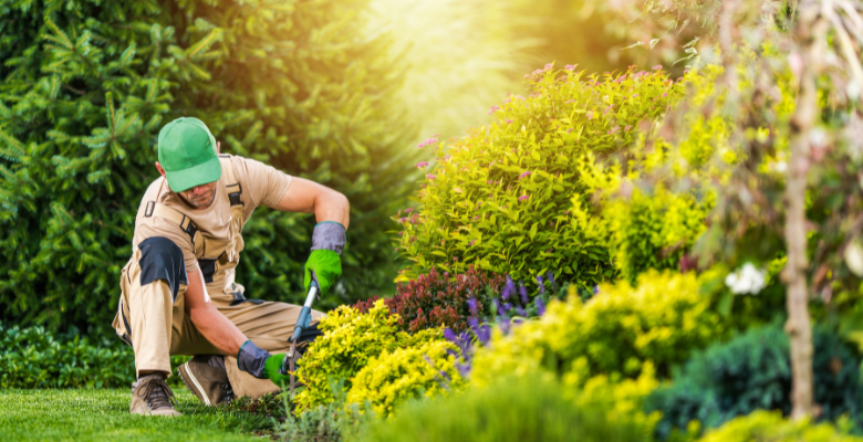 Landscape Maintenance Tucson 