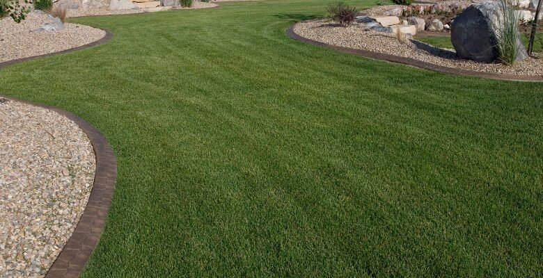 Landscaping Marana