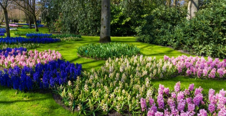 landscape design Tucson AZ