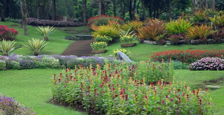 landscape designers Tucson