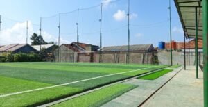 Artificial Turf & Pavers Combination