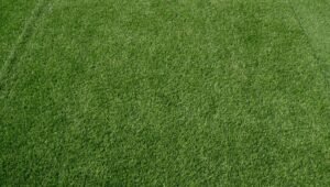 Full Yard Artificial Turf