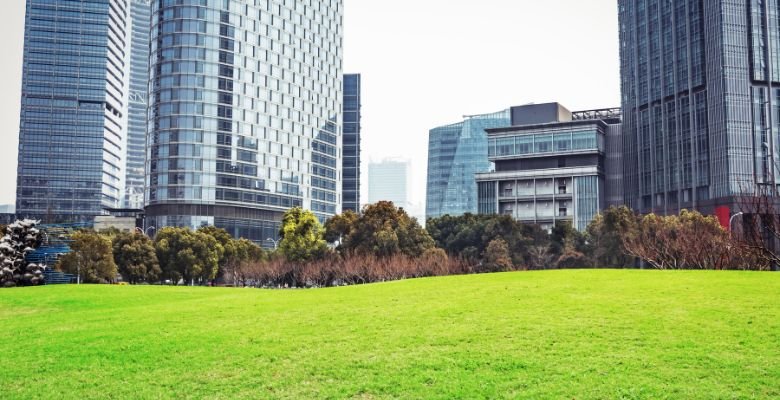 Tucson commercial landscaping