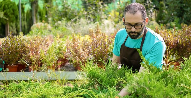 Tucson professional landscaping