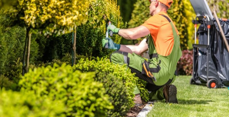 commercial landscape maintenance Tucson
