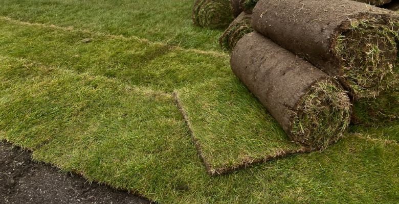 Artificial grass installation Tucson