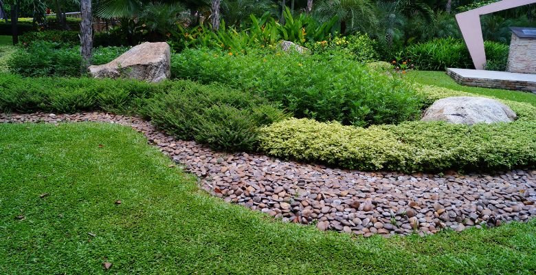 Tucson professional landscaping