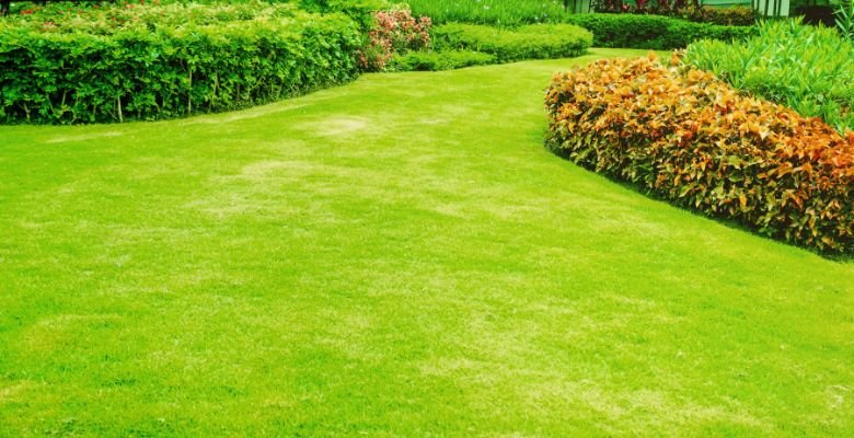 landscape designers Tucson