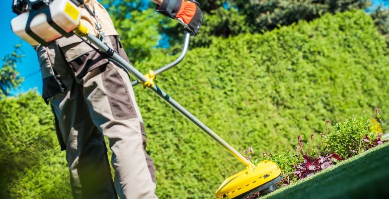 landscaping Oro Valley