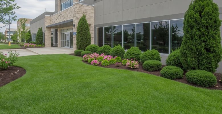 Tucson commercial landscaping