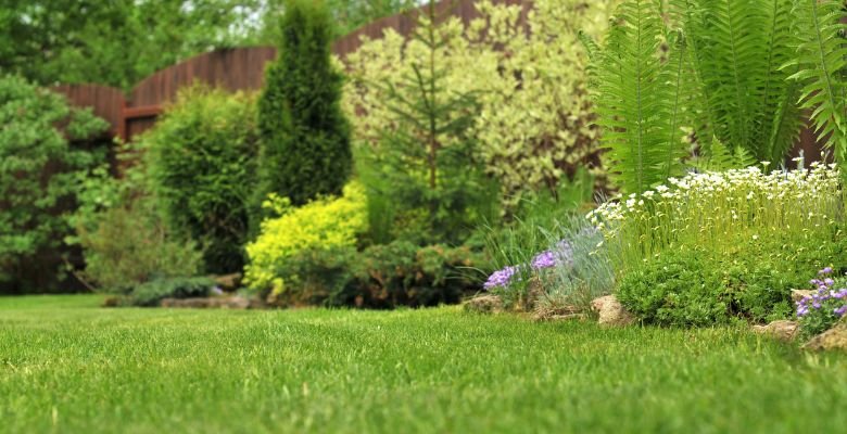 landscape designers Tucson